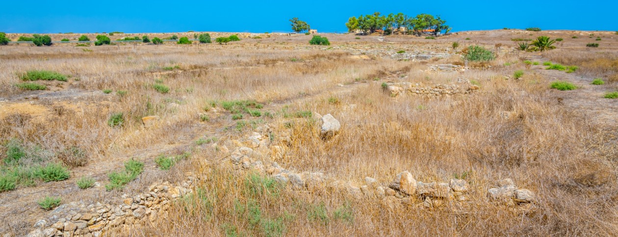 Combating desertification through regenerative approaches